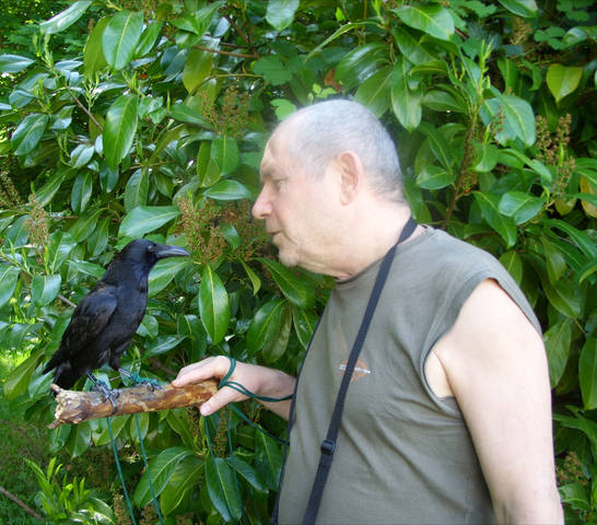 http://images.vfl.ru/ii/1595486531/8c702e6c/31143650_m.jpg