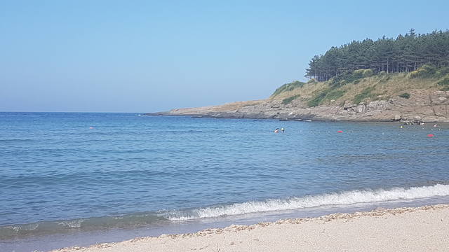 Публикувано изображение