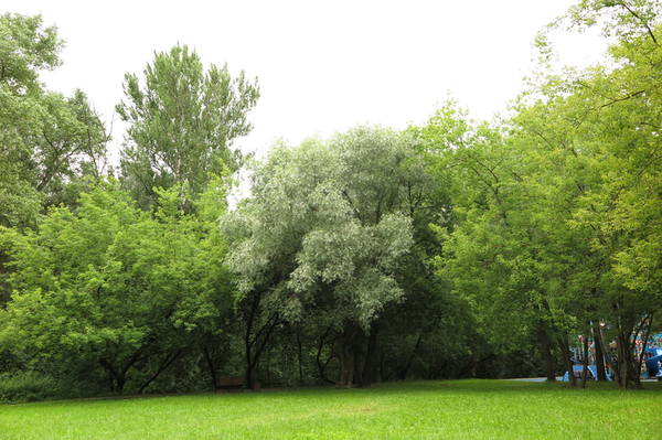 VFL.RU - ваш фотохостинг VFL.RU - ваш фотохостинг