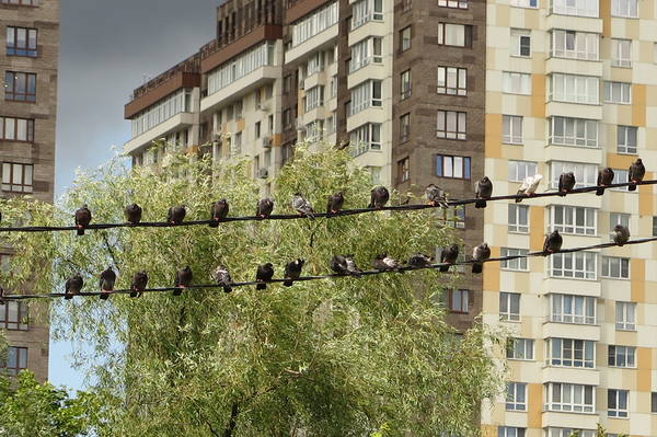VFL.RU - ваш фотохостинг VFL.RU - ваш фотохостинг