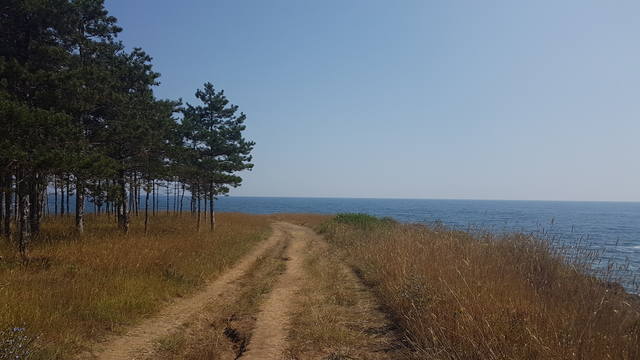 Публикувано изображение