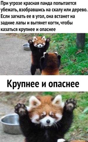 31178337_m.jpg