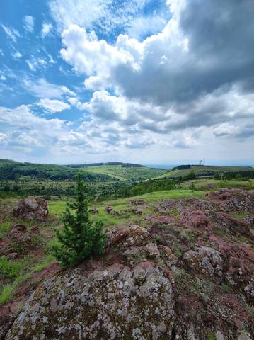 Публикувано изображение
