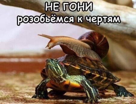 Tapтaлeтки & Ко