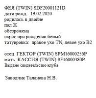 Фея анк talanov2011