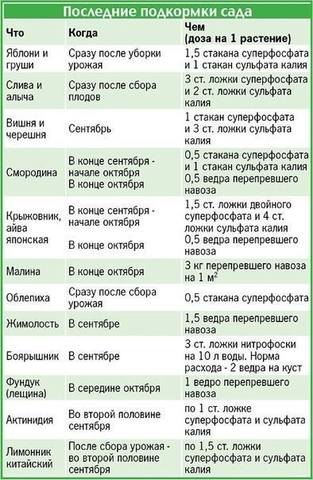 Сажаем, растим, собираем урожай…