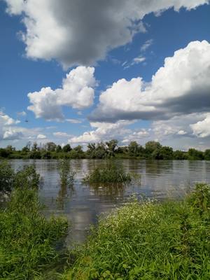 VFL.RU - ваш фотохостинг VFL.RU - ваш фотохостинг