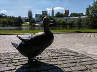 VFL.RU - ваш фотохостинг