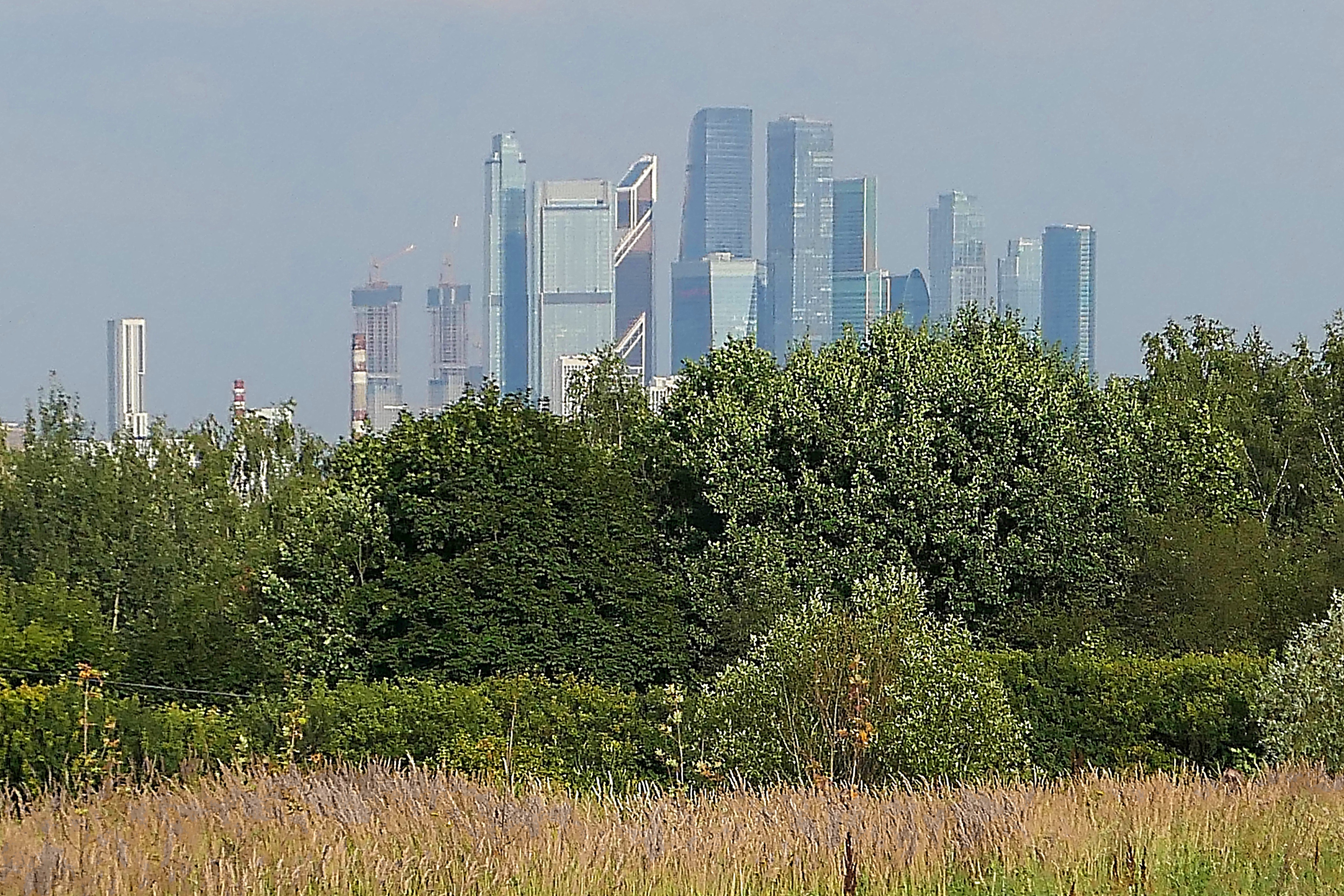 В лесопарке Крылатские Холмы, вдали Москва-Сити. Фото Морошкина В.В.