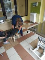 VFL.RU - ваш фотохостинг