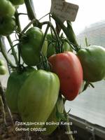 VFL.RU - ваш фотохостинг