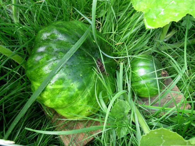 VFL.RU - ваш фотохостинг VFL.RU - ваш фотохостинг