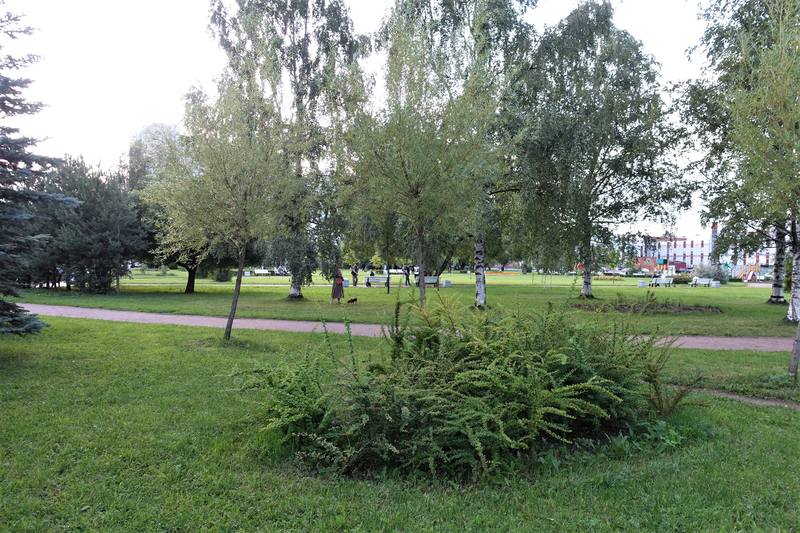 Щигринский сквер Щигринский сквер