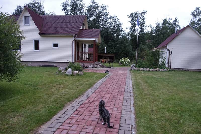 Кошаки Кошаки