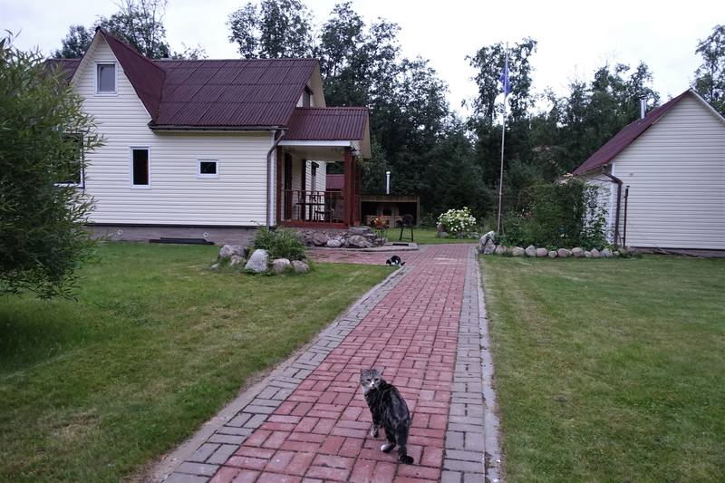 Кошаки Кошаки