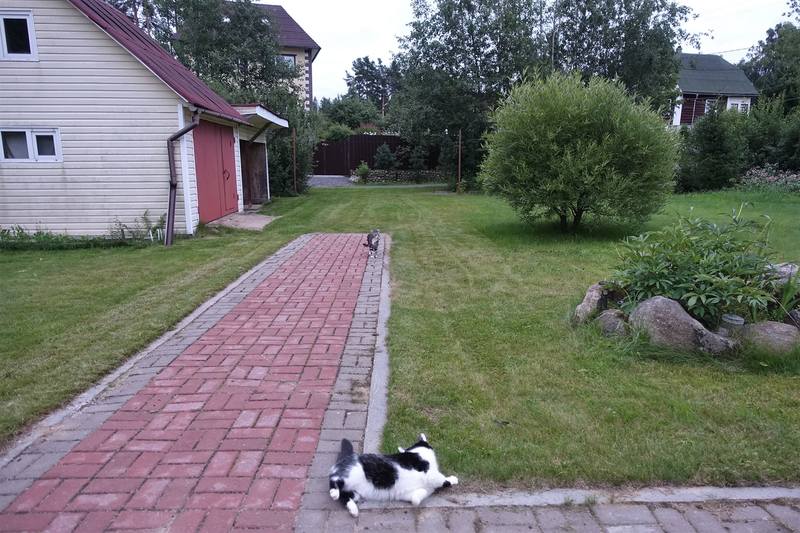 Кошаки Кошаки
