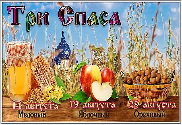 Tapтaлeтки & Ко