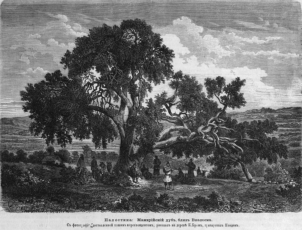 Мамврийский дуб, 1869