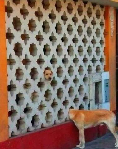 Посмеялся сам - поделись с другом!!!