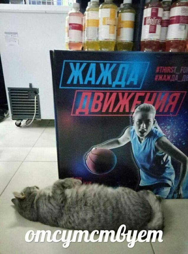 p5rlBMBxKYI p5rlBMBxKYI