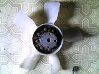 31366690_s.jpg