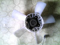 31366691_s.jpg