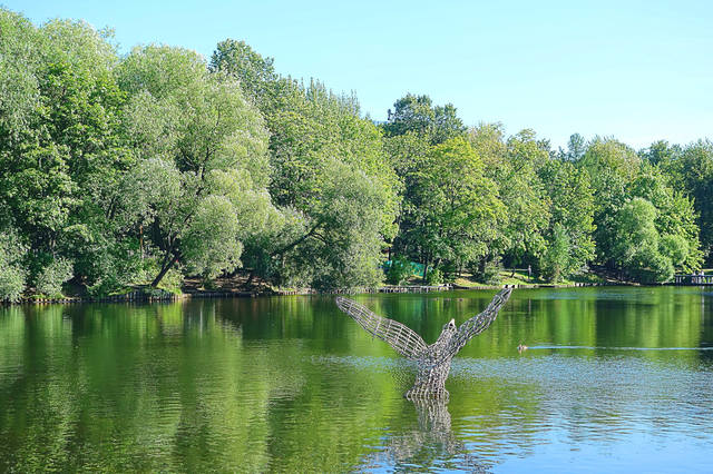 Большой пруд Воронцовского парка. Фото Морошкина В.В.