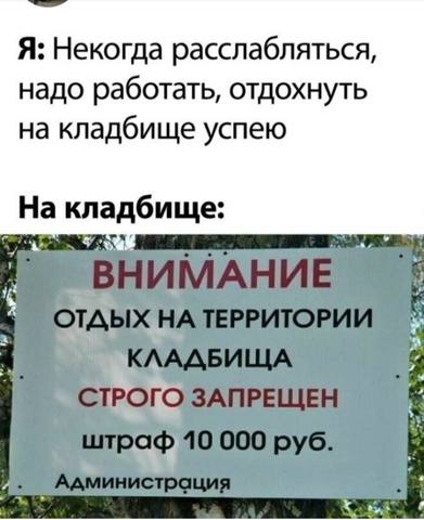 31408065_m.jpg