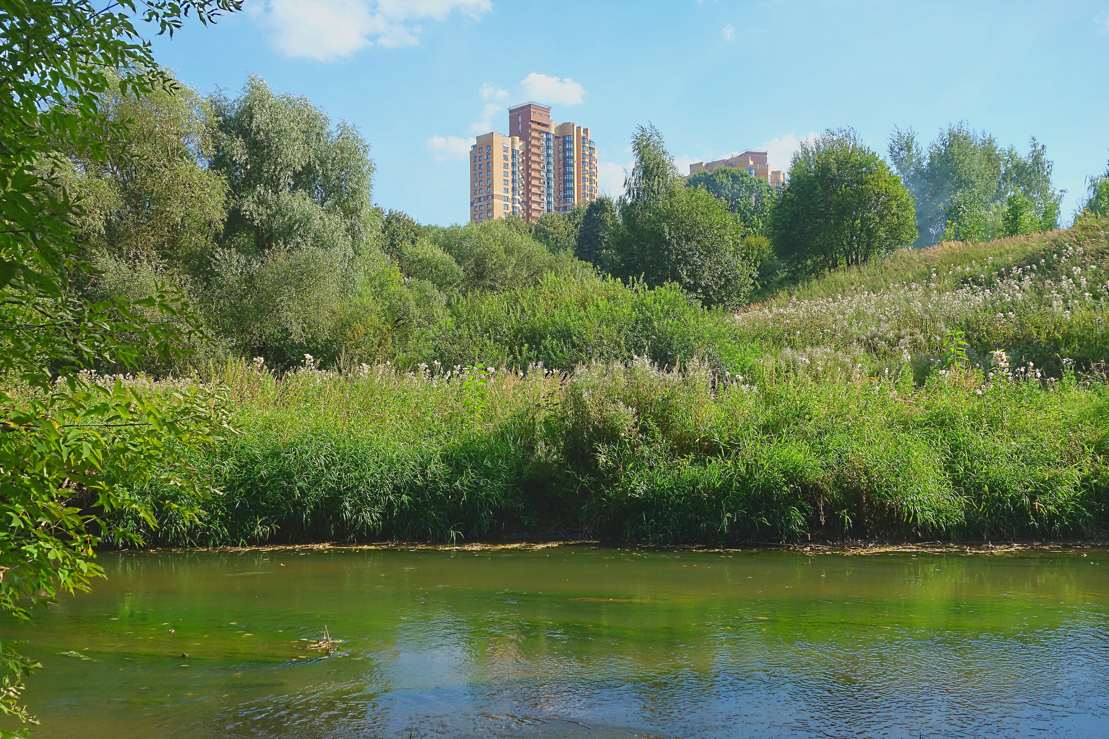 В Заказнике Долина р. Сетунь. Фото Морошкина В.В.