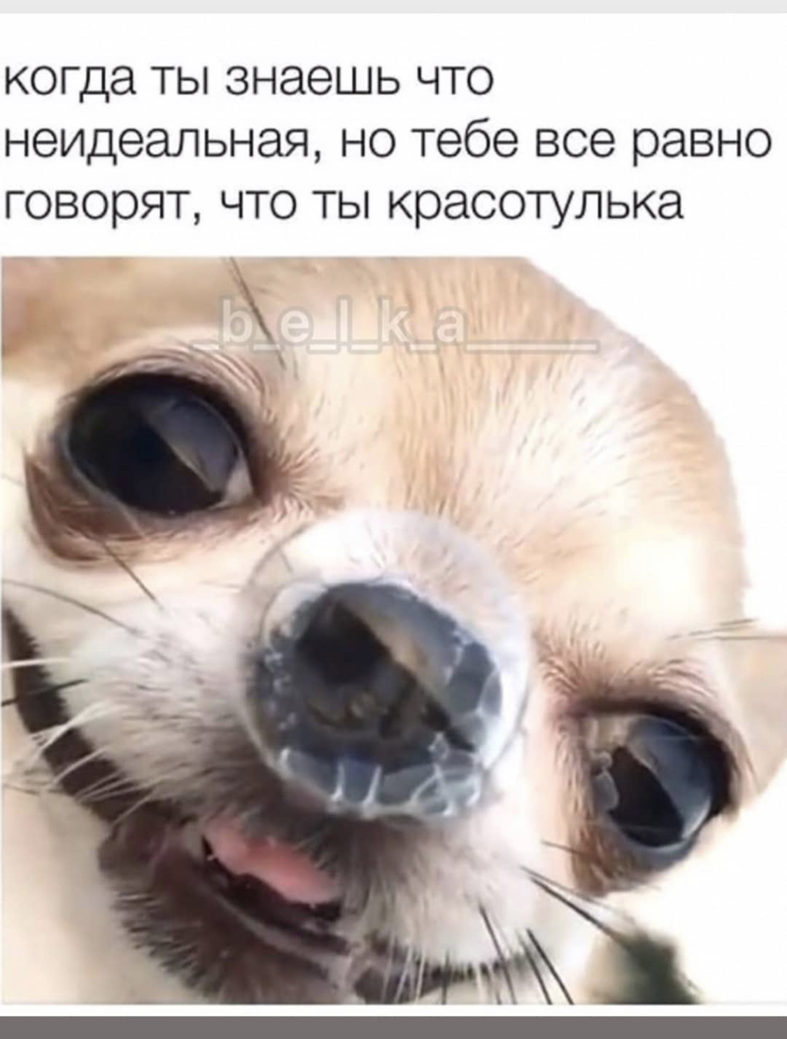 31431259.jpg