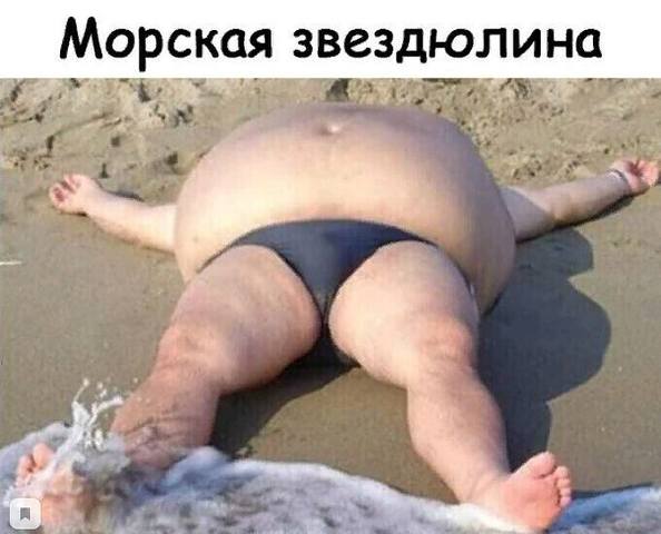 Tapтaлeтки & Ко