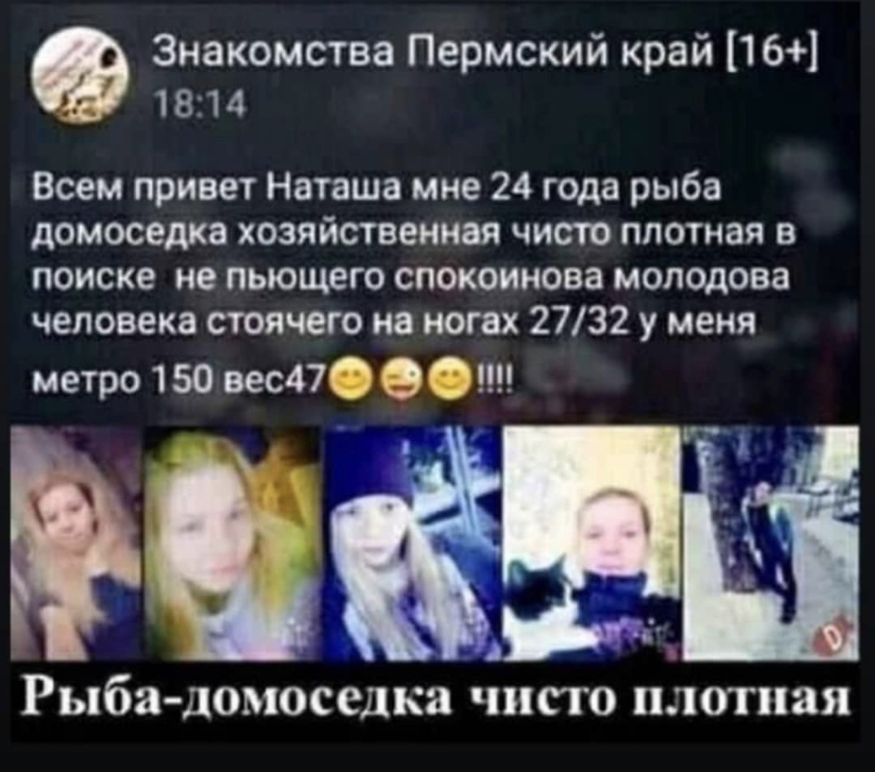 31460277.jpg