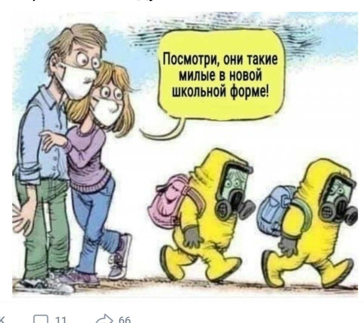 31489110.jpg