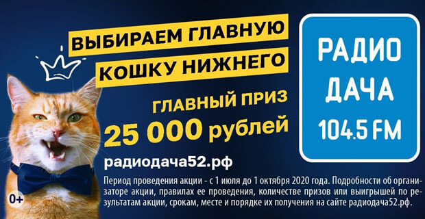 Главная кошка Нижнего Новгорода заработает 25 тысяч рублей