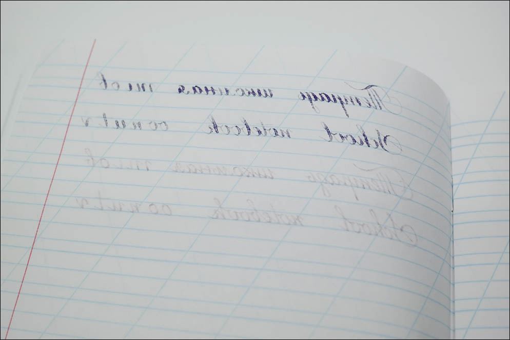 School notebooks ink-paper test 2020. Lenskiy.org