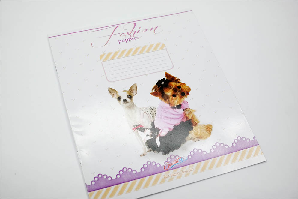 School notebooks ink-paper test 2020. Lenskiy.org