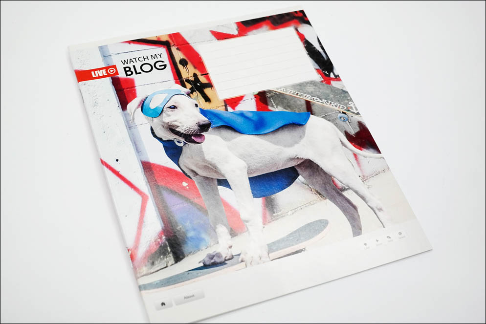 School notebooks ink-paper test 2020. Lenskiy.org