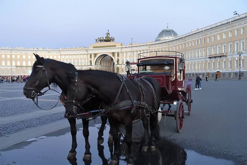 Санкт-Петербург Санкт-Петербург