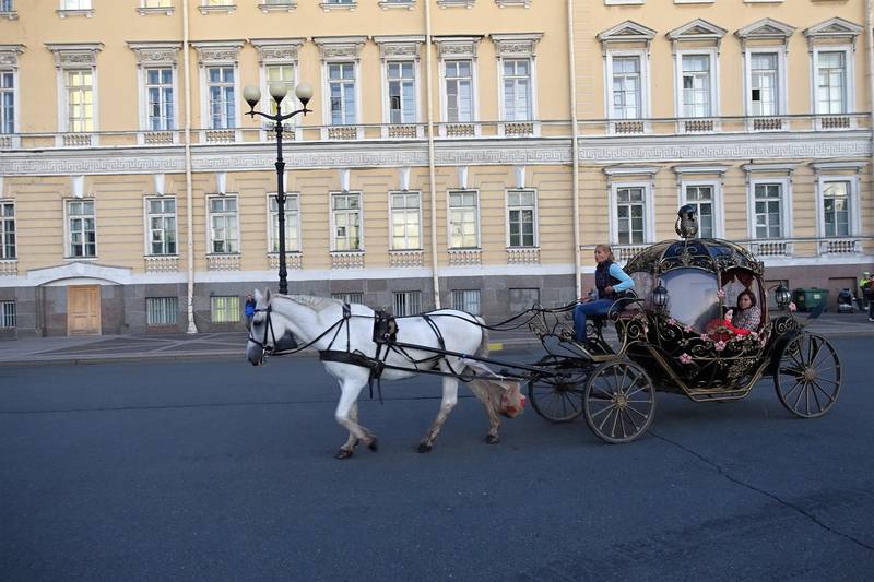Дворцовая площадь Дворцовая площадь