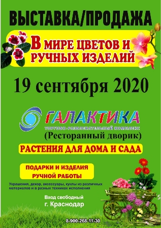 Выставка19 сентября 2020 эл вид (1)