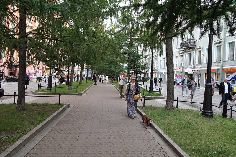 Васильевский остров Васильевский остров