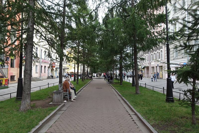 Васильевский остров Васильевский остров