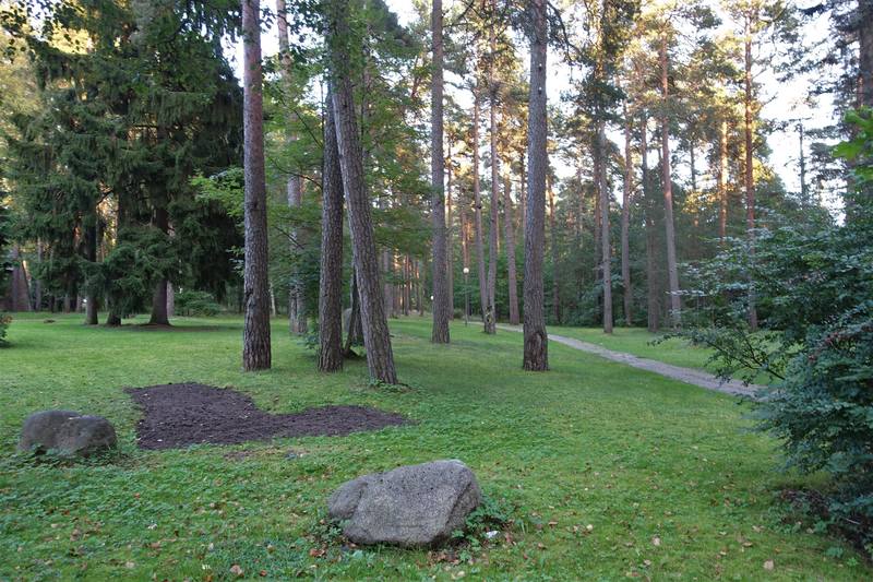 Санкт-Петербург Санкт-Петербург