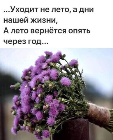 Tapтaлeтки & Ко