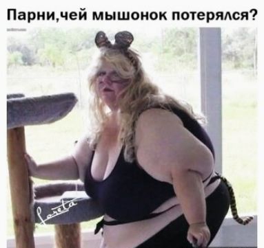 31562828.jpg