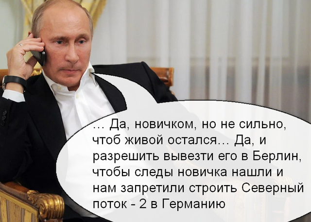 31573040_m.png