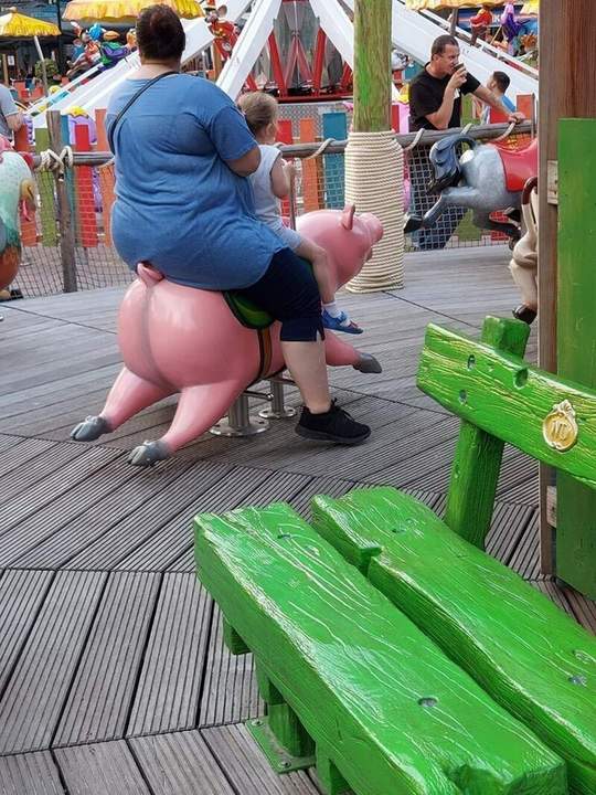 31604616.jpg