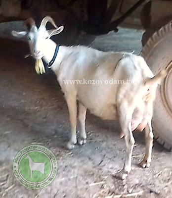 Кита 3 Наталия =)