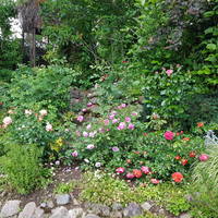 VFL.RU - ваш фотохостинг