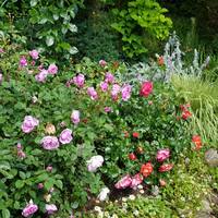 VFL.RU - ваш фотохостинг